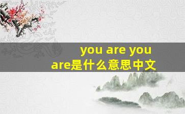 you are you are是什么意思中文